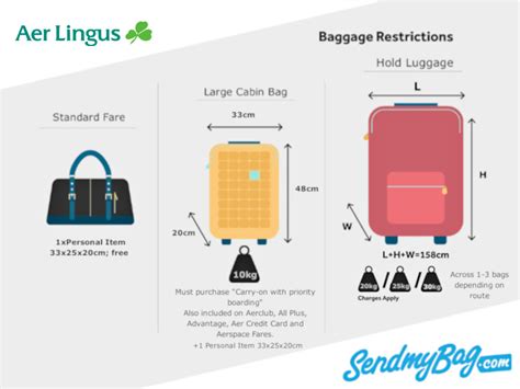 aer lingus personal item bag.